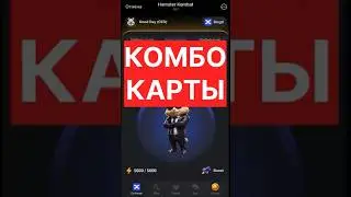 Комбо карты 19-20 июня Hamster Kombat 