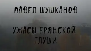 😱 Кошмары брянской глуши: домовые, ритуалы, легенды | П. Шушканов, "Другой Брянск", гл. 13–16