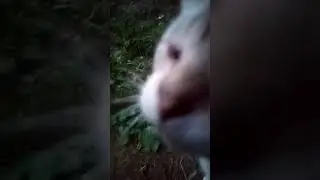 моя улица