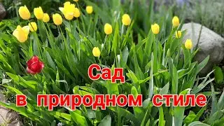 Сад в природном стиле. Natural style garden.