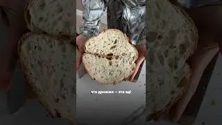 Дрожжи - это яд? #хлебназакваске #бездрожжевойхлеб #хлеббездрожжей #домашнийхлеб #хлеб #ржанойхлеб