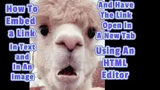 How To Embed A Link In Text or An Image With An  HTML Editor Also How to Open It In A New Tab