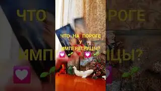 #любовники #тарогаданиялюбовь #тароотношения #tarot #таросовет #гадание #гаданияналюбовь #таролог