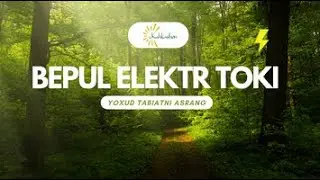 Bepul elektr toki Yoxud Tabiatni asrang!