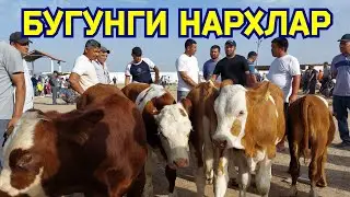 БОКМА НОВВОСЧАЛАРНИ ЗУРЛАРИ ЧИКДИ КАРШИ КАРВОН МОЛ БОЗОРИГА