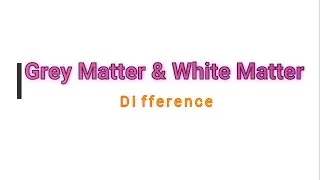 White Matter and Gray Matter ; Difference | Easy To Learn | Medico Star.