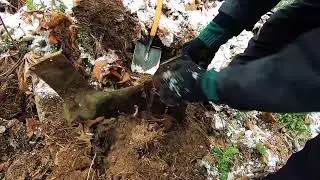 Откопали медь коп металлолома в лесопарковой зоне результат за 2 часа поиска Металлокоп видео коп