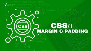 CSS Margins And Padding