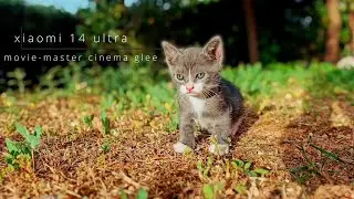 xiaomi 14 ultra cinematic test bokeh