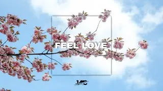 Luke Bergs - Feel Love (No Copyright Music)