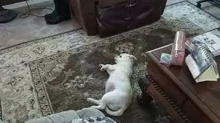 There is Something on my Mouth