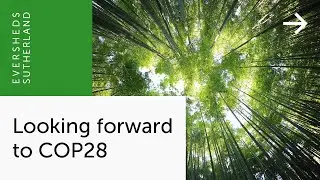 Exciting Insights on COP28 with Herbert Short & Diane Gilhooley
