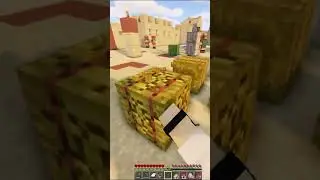 De JUISTE Manier Om Een Village Te Looten In Minecraft!