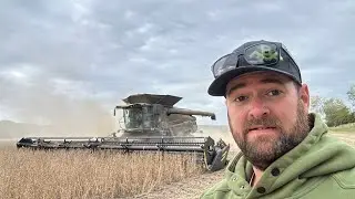 Big day of soybean harvest with Fendt Ideal 9t