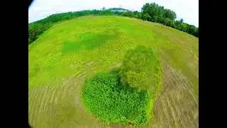 FPV Free style
