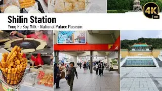 Have you tried Taiwanese breakfast? Yonghe Soy Milk King, Shilin Station and National Palace Museum