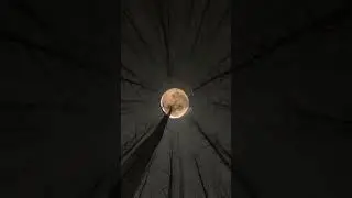 #Репост
