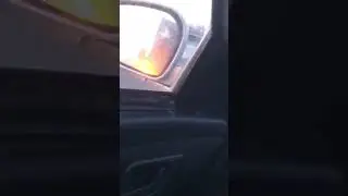 Жига зверь