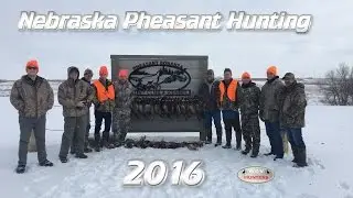 Nebraska Pheasant Hunting 2016