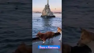 ДЖЕК И КАШТАНКА ПЕРЕДАЮТ ВАМ ПРИВЕТ ИЗ СЕВАСТОПОЛЯ!🌺🌺🌺🌺🌺