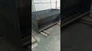 Грамотный Откорм Свиней поросят