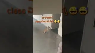 class listening by dog 🐕🐕🐕😅😅😀😀😀