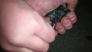 Убиваем Нокиа 3310