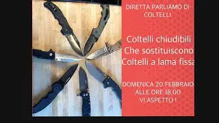 Diretta coltelli , chiudibili che possono sostituire i lama fissa