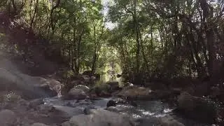 animated transitions