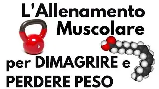 L'allenamento MUSCOLARE per DIMAGRIRE e PERDERE PESO