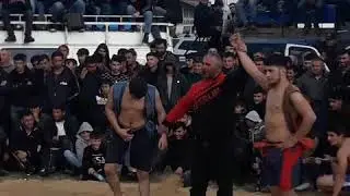 Qabal gulesi