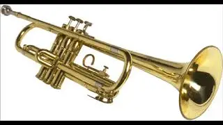 What's the instrument?