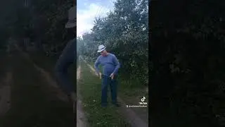 Танцы на природе 