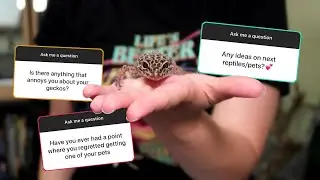 Do Mealworms Cause Impaction? Pets I Regret Getting? And More | Q&A