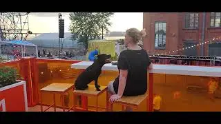 Staffie СевКабельПорт relax