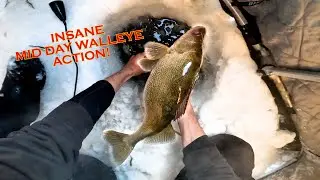 Winter Walleye + NIGHT Burbot Fishing Lake Nipissing 2024