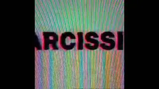 narcissist (2021 leak)