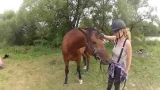 Летние Походы с Купанием на Лошадях