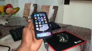 How to connect Gaming Keyboard and mouse to Apple iPhone 12 Pro Max in the same time