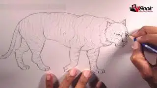 Mastering Pencil - Menggambar Harimau