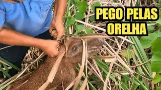 Wild boar hunting – if you run, the animal jumps; if you stay, the shot rings!