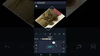 tutorial básico de transições básicas 🐋🐋💥