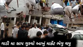 ગામમાં આવ્યો સાપ🐍 આખું માર્કેટ ભેગું થયુ| સાપ 3 લોકો ની જીદગી..|સાપ ગાડી મા ગુસી ગયો🚗|Golu Sem Golu