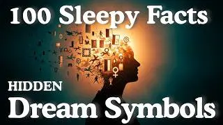 What Your Recurring Dream Symbols Really Mean? Psychology for Sleep
