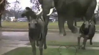 Leaving Work on Friday and Going to Work on Monday