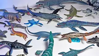 Marine Reptiles Collection - Mosasaurus, Kronosaurus, Tylosaurus, Liopleurodon, Elasmosaurus