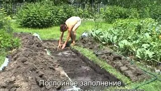 Теплая грядка