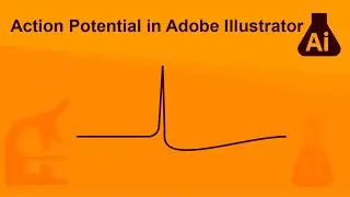 Action potential in Adobe Illustrator