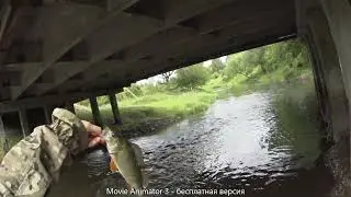 Соблазняла окуня на раттлины, а соблазнила... Рыбалка под мостом и в заводи.