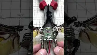 Esse cara tá transformando insetos em robôs?